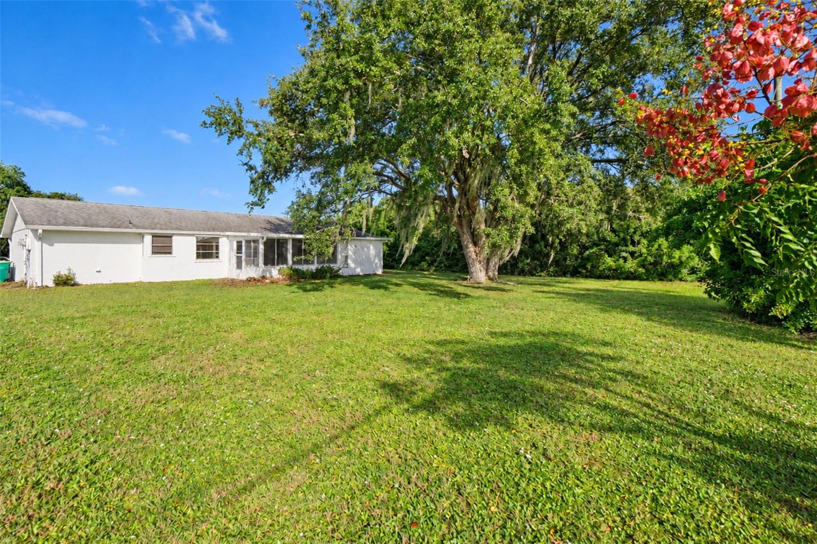 Spacious backyard