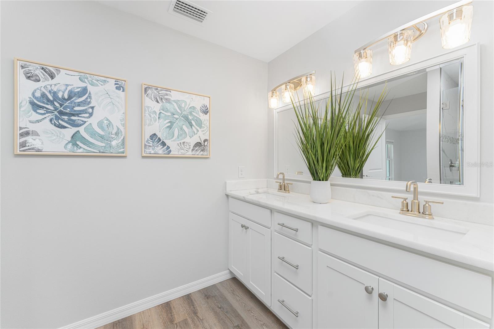 dual Sinks