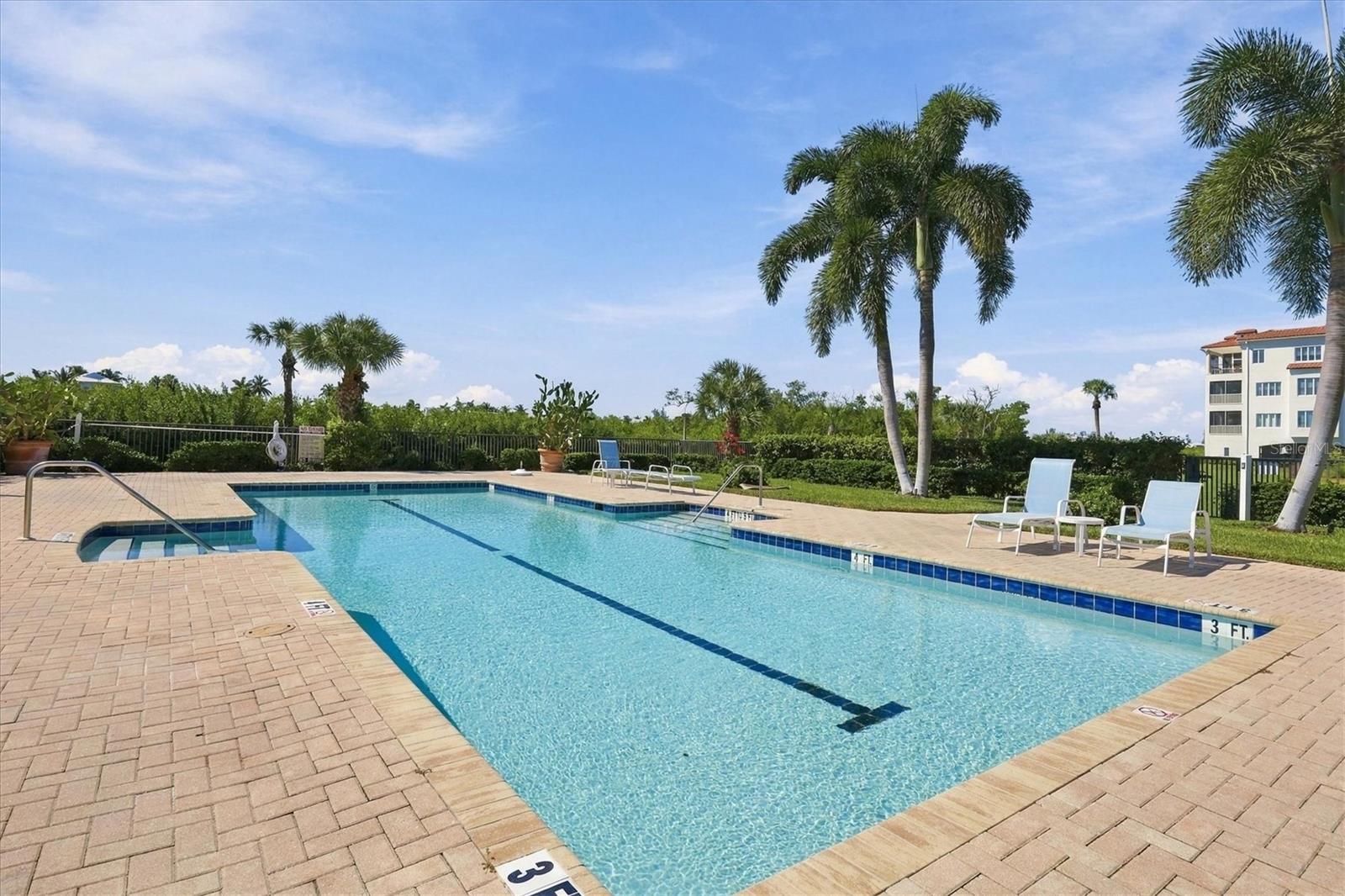 Lap Pool