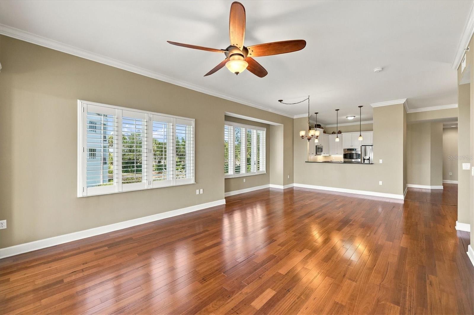 Living Area View