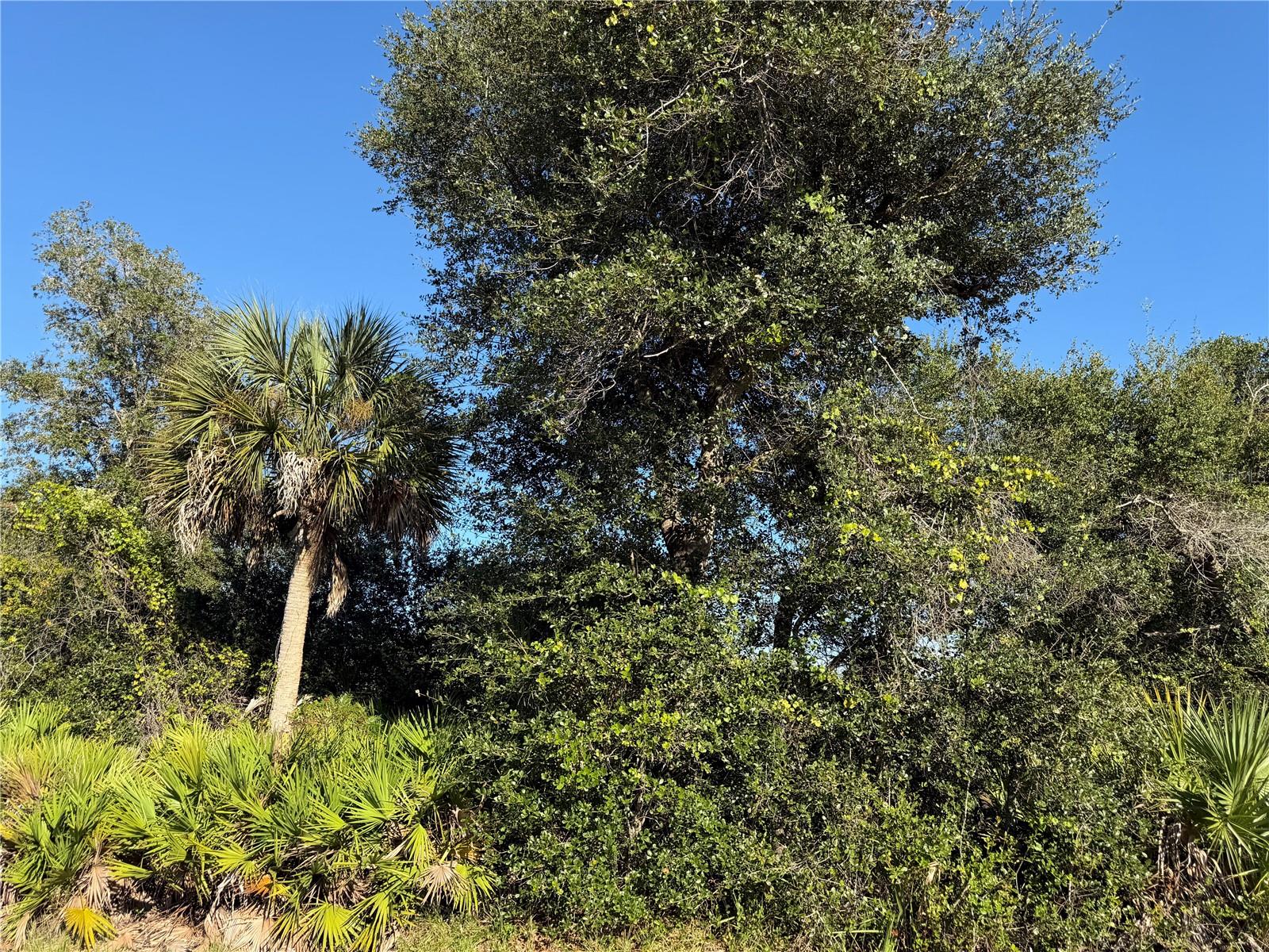 13499 ELEANOR AVENUE, Port Charlotte, FL 33953