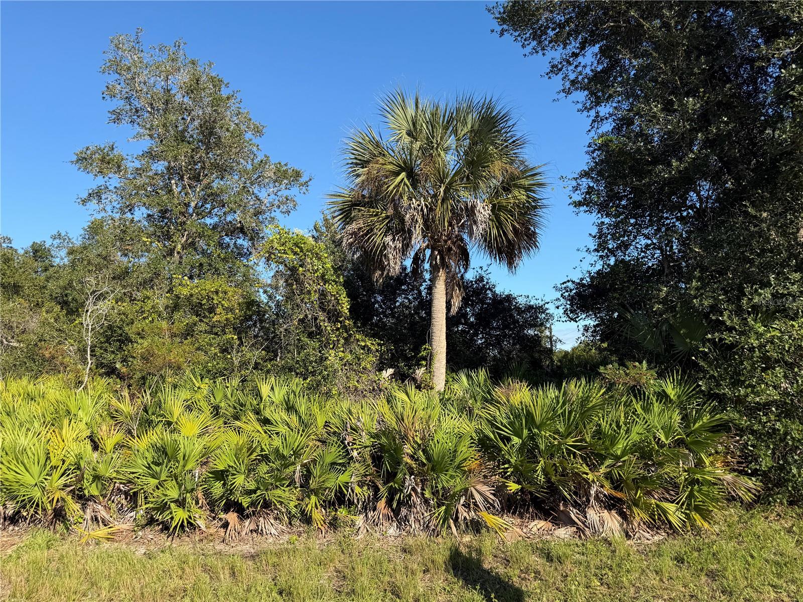 13499 ELEANOR AVENUE, Port Charlotte, FL 33953