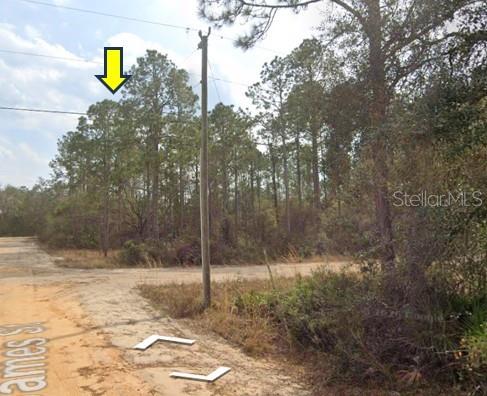 JAMES ST, Interlachen, FL 32148