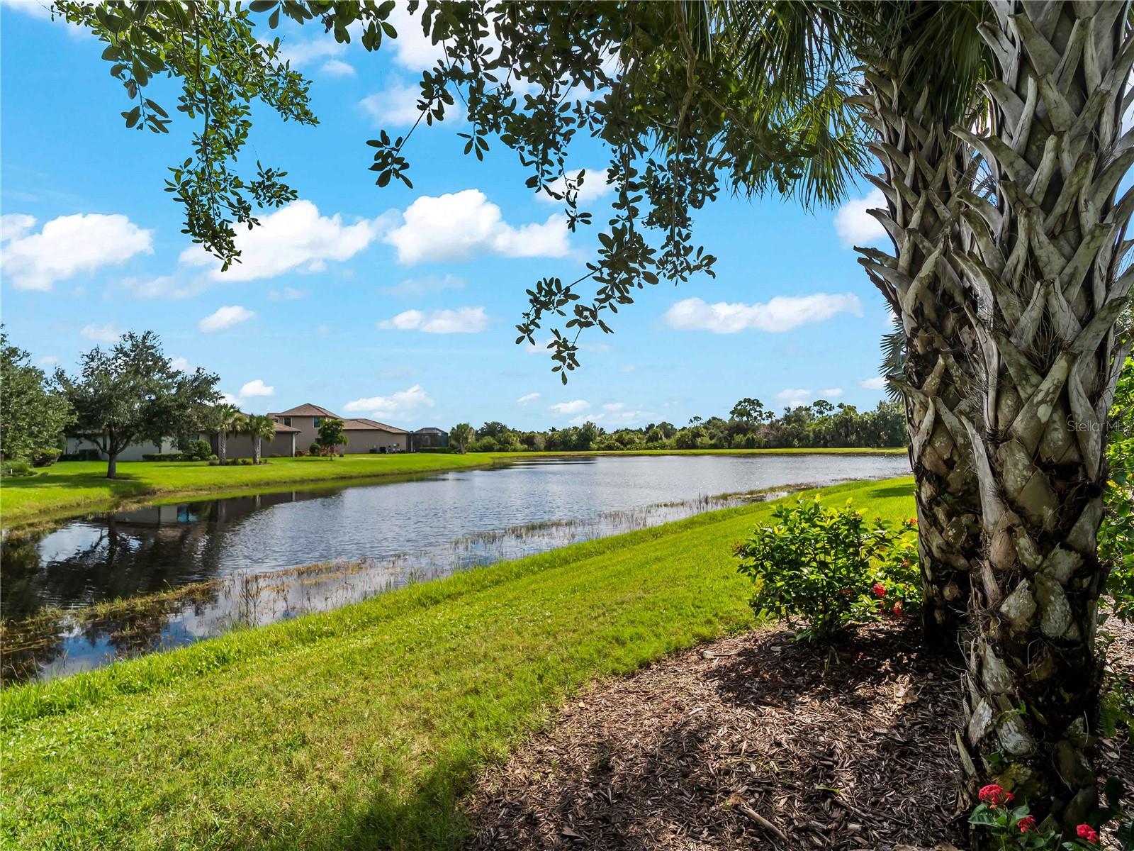 19864 PETRINO STREET, Venice, FL 34293