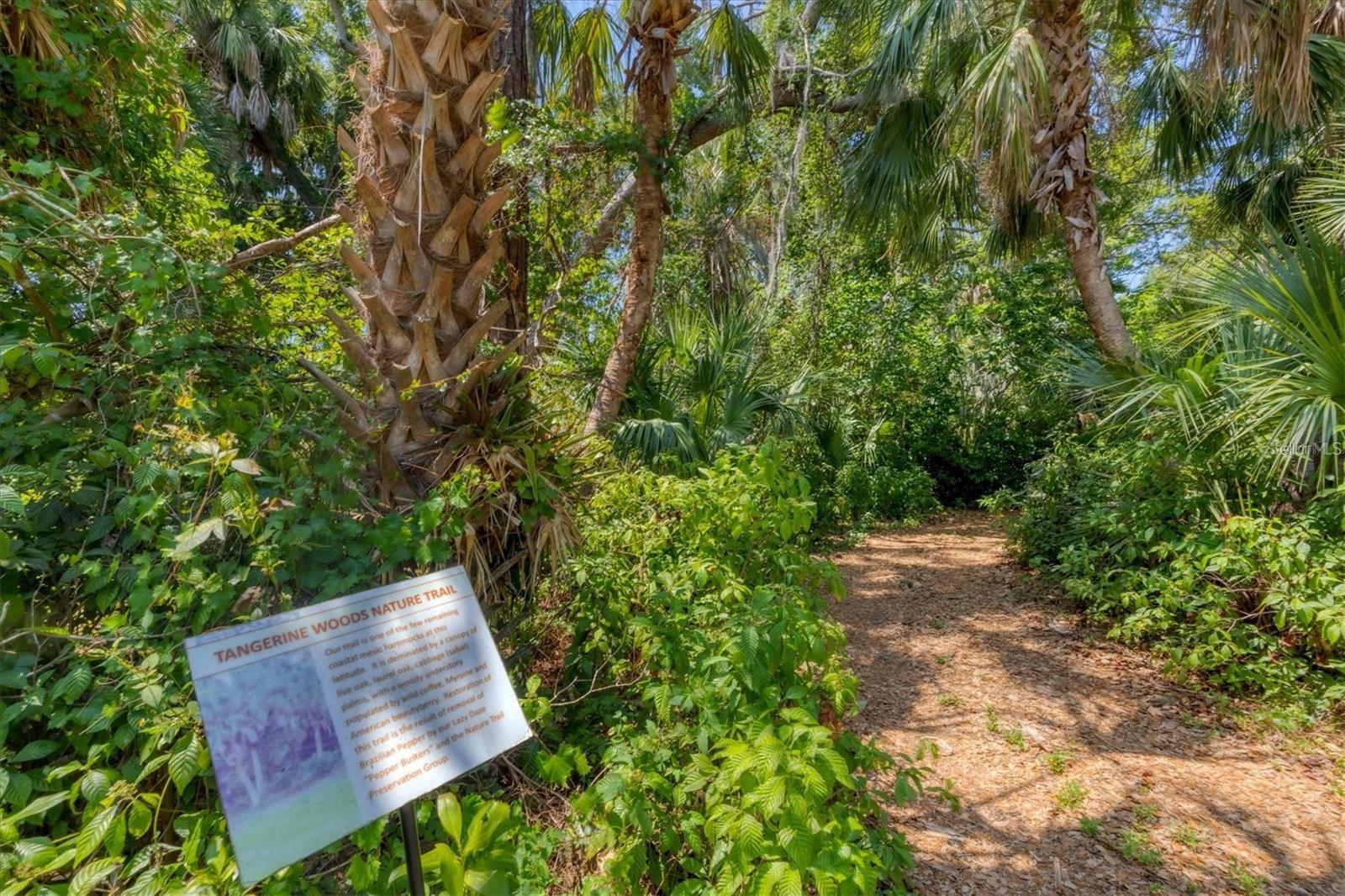 Nature trail for residents!
