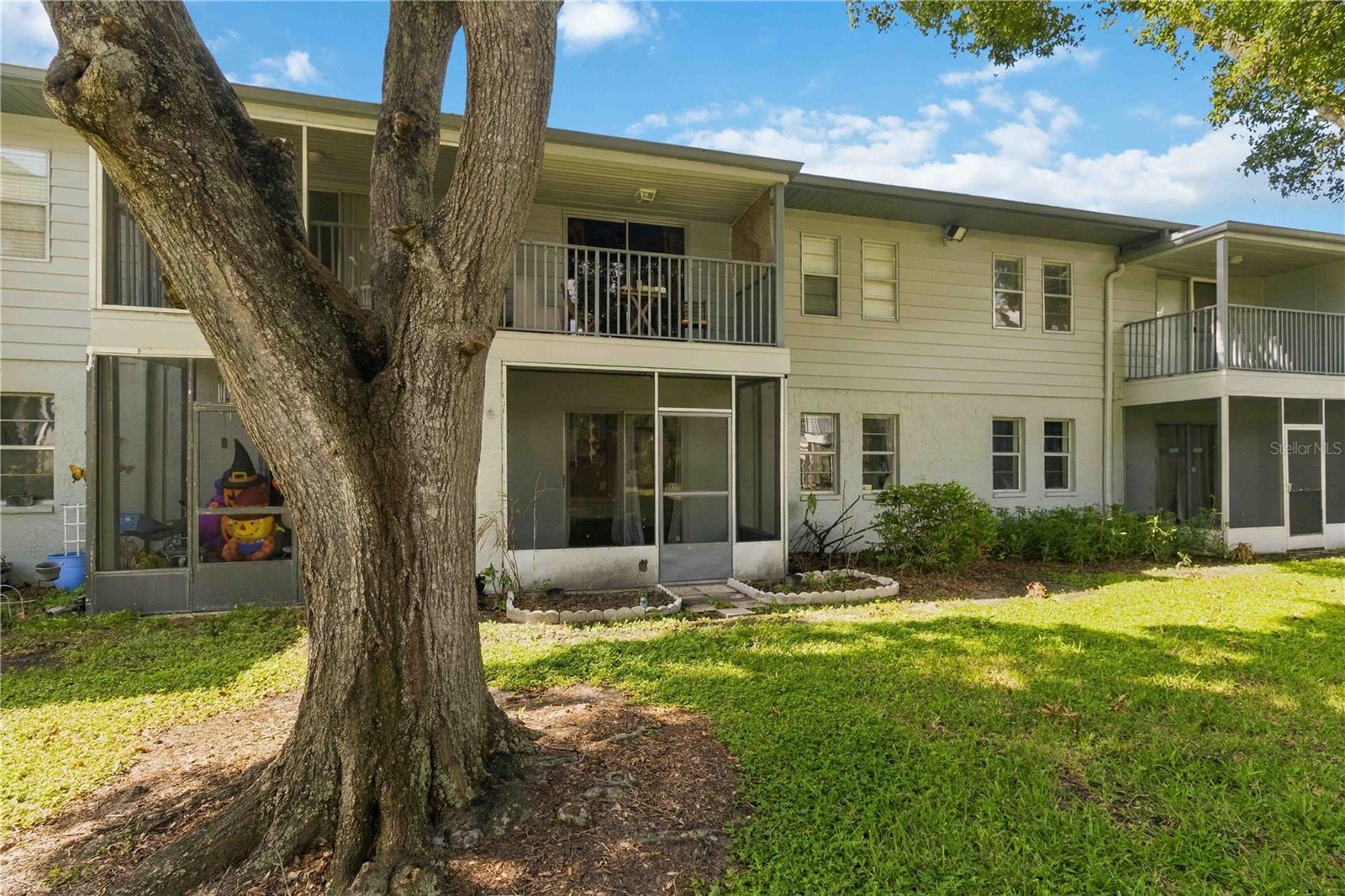 10800 US HIGHWAY 19 N, #115, Pinellas Park, FL 33782