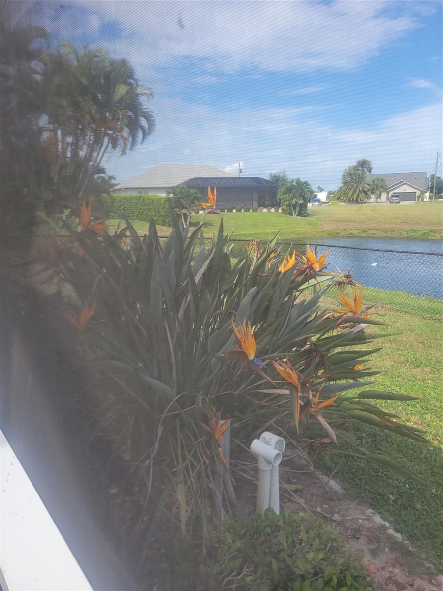 Rear Yard