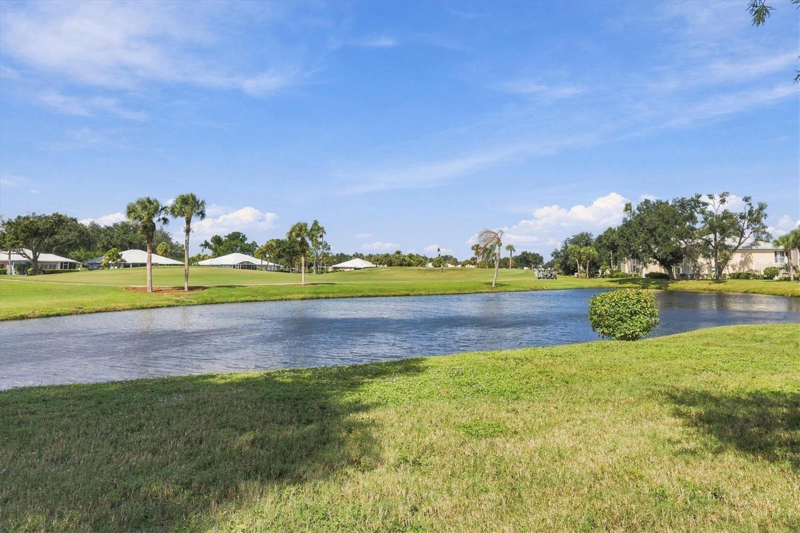 427 CERROMAR LANE, #355, Venice, FL 34293