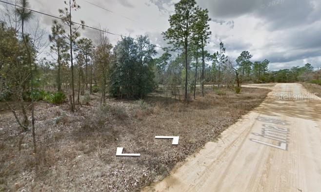 LIMA ST, Interlachen, FL 32148