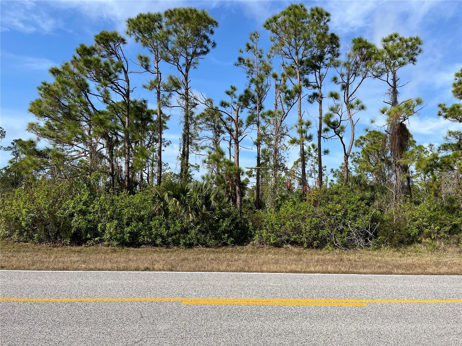 14767 SAN DOMINGO BOULEVARD, Port Charlotte, FL 33981