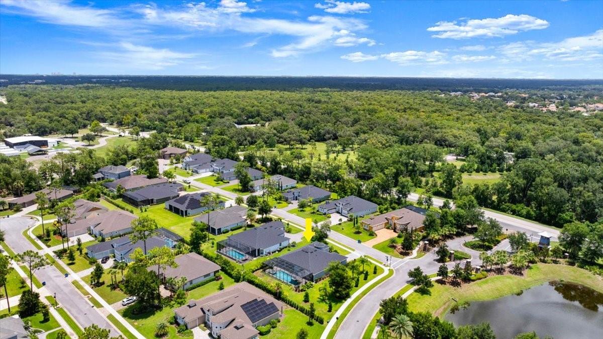 2426 WILD TURKEY CREEK LN, Port Orange, FL 32128