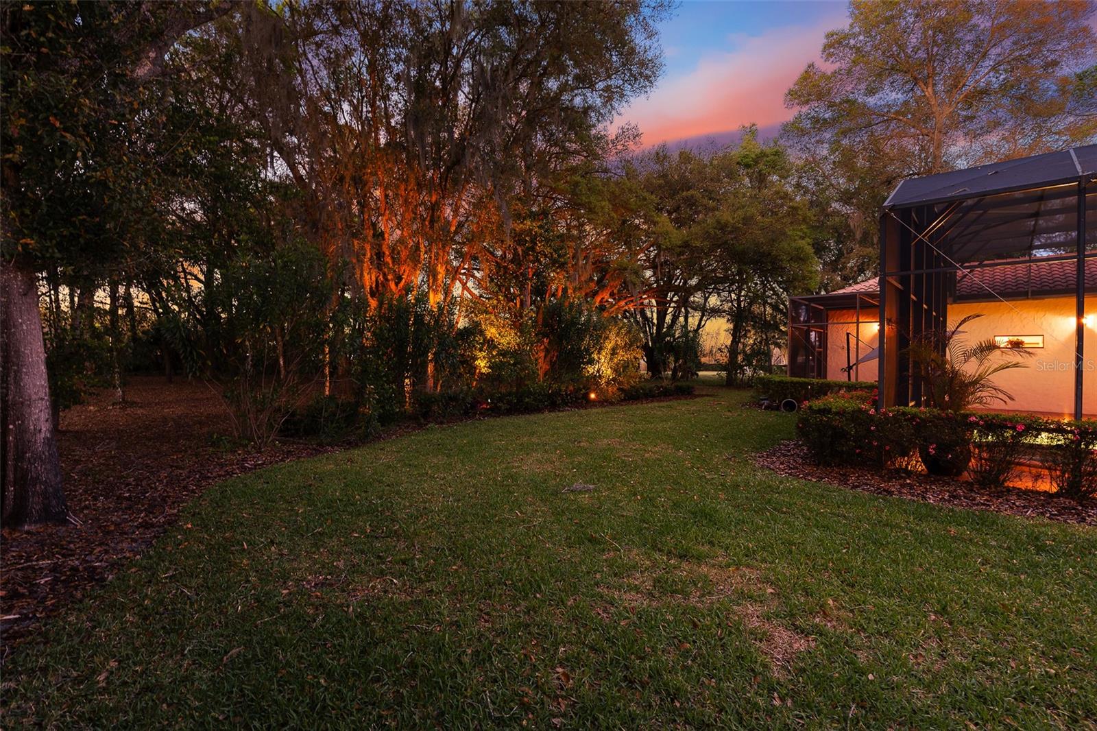 Twilight Backyard