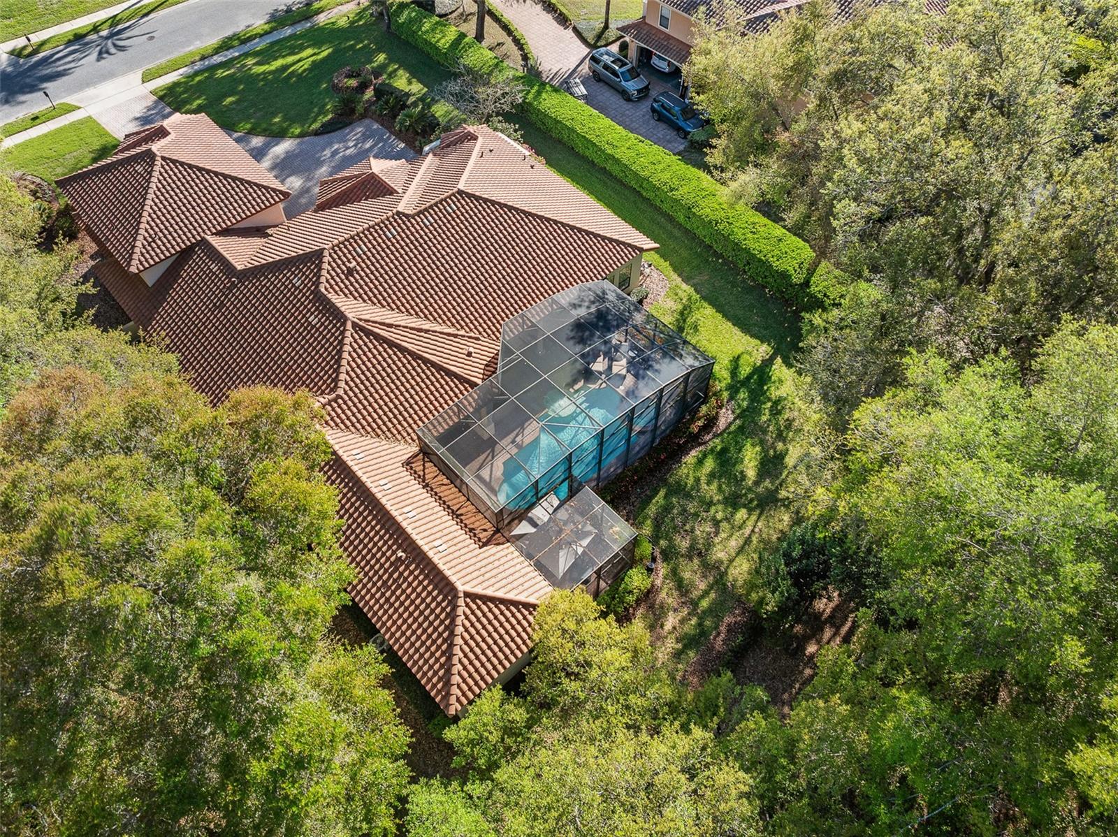 Drone Overhead
