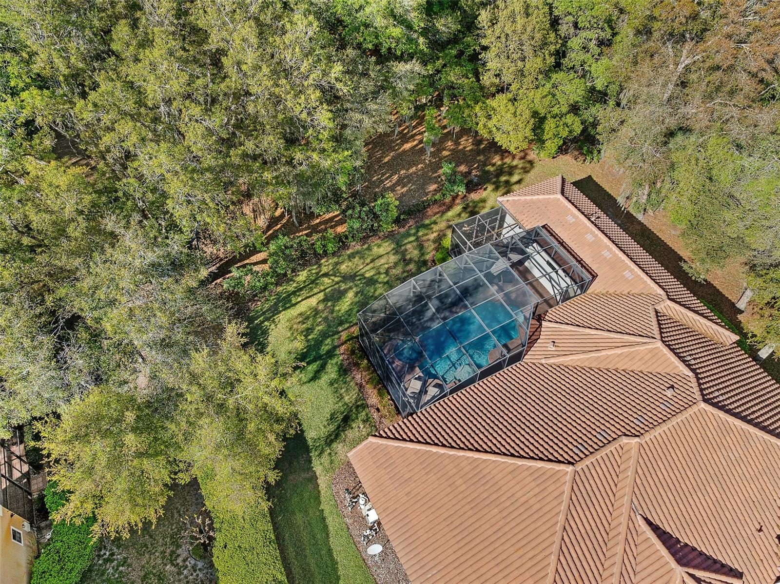 Drone Overhead