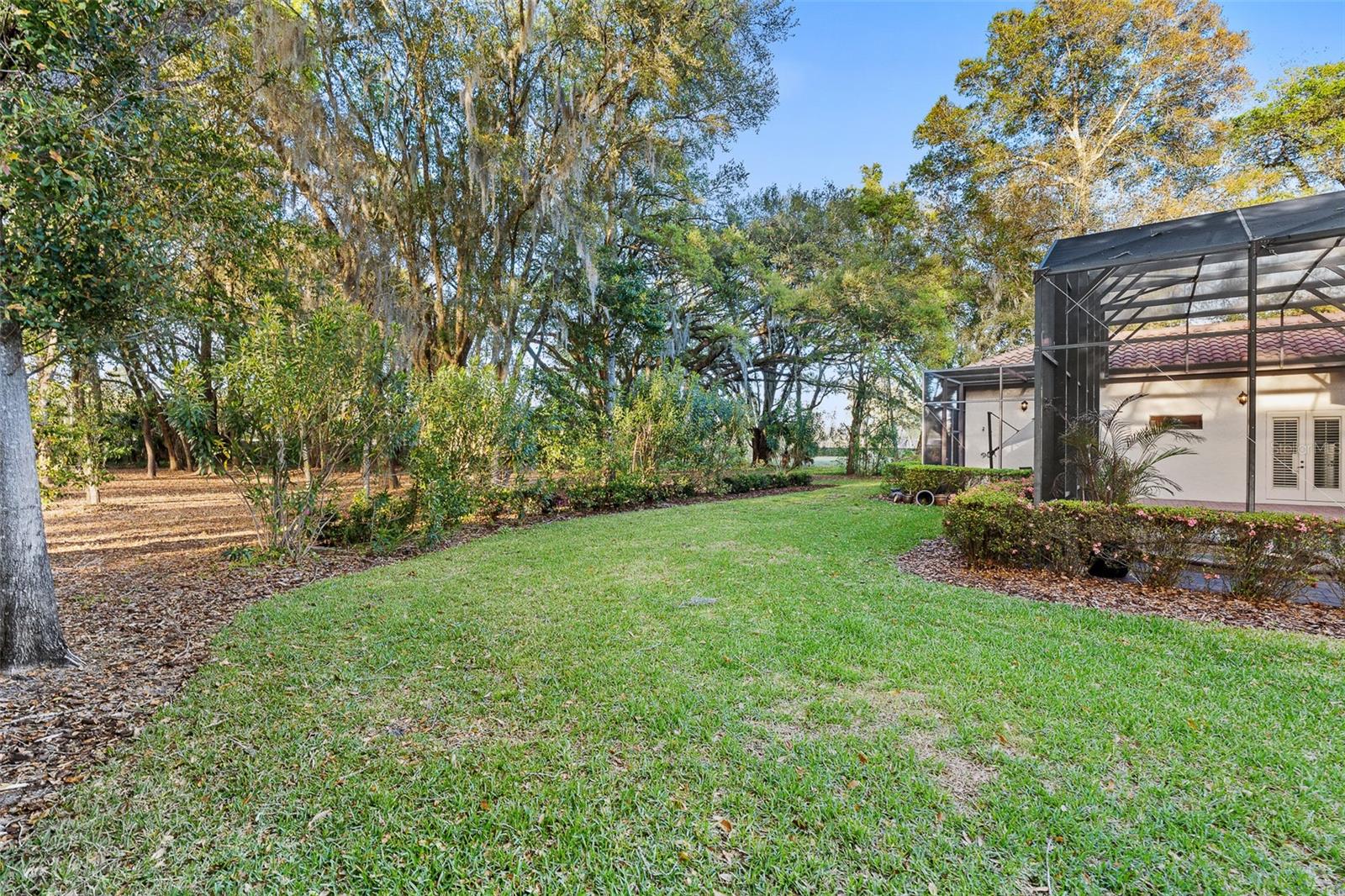 Massive Backyard