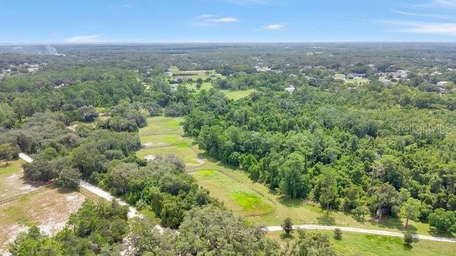 2121 DRESSAGE COVE, Chuluota, FL 32766