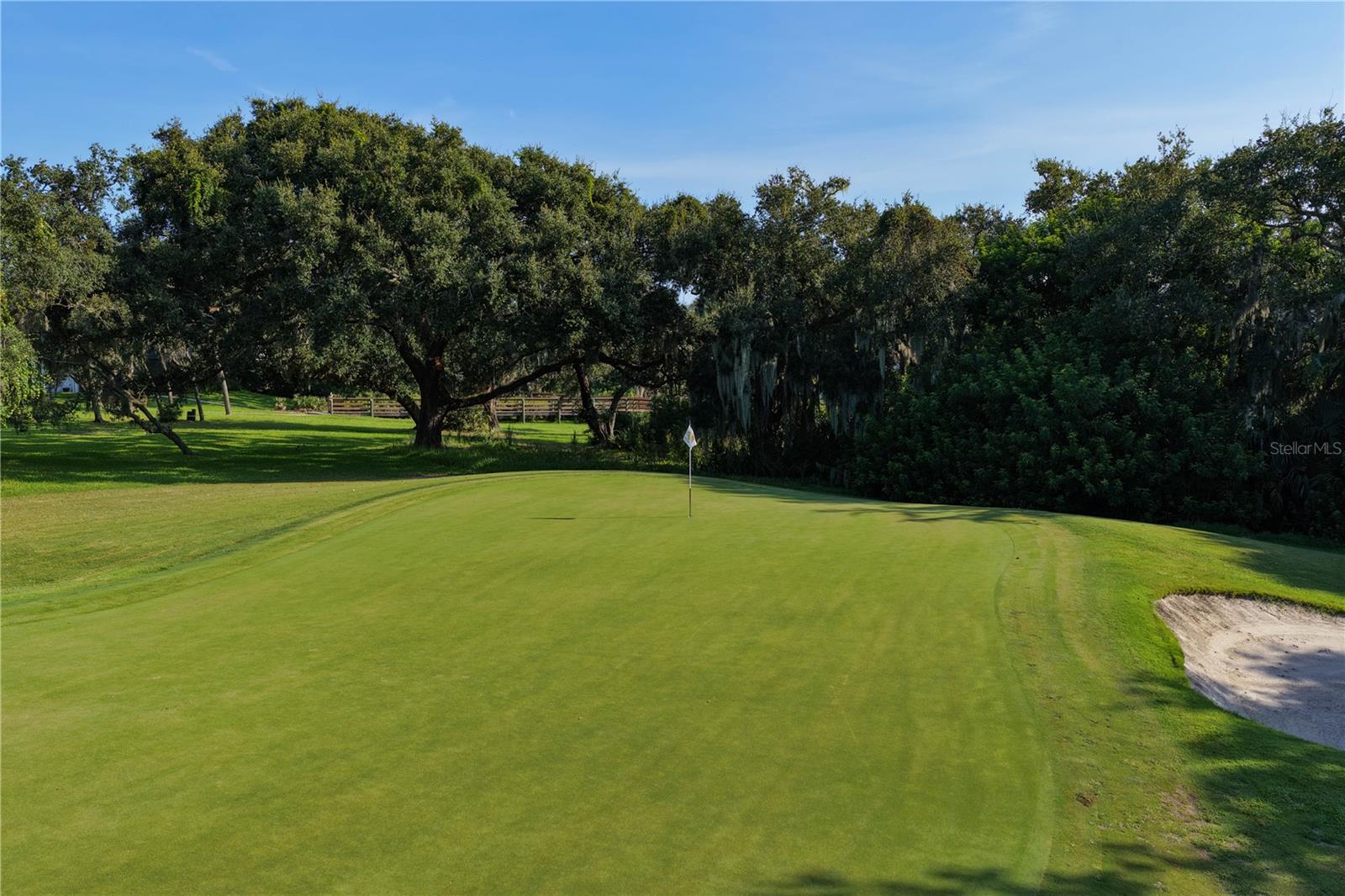 14th Green