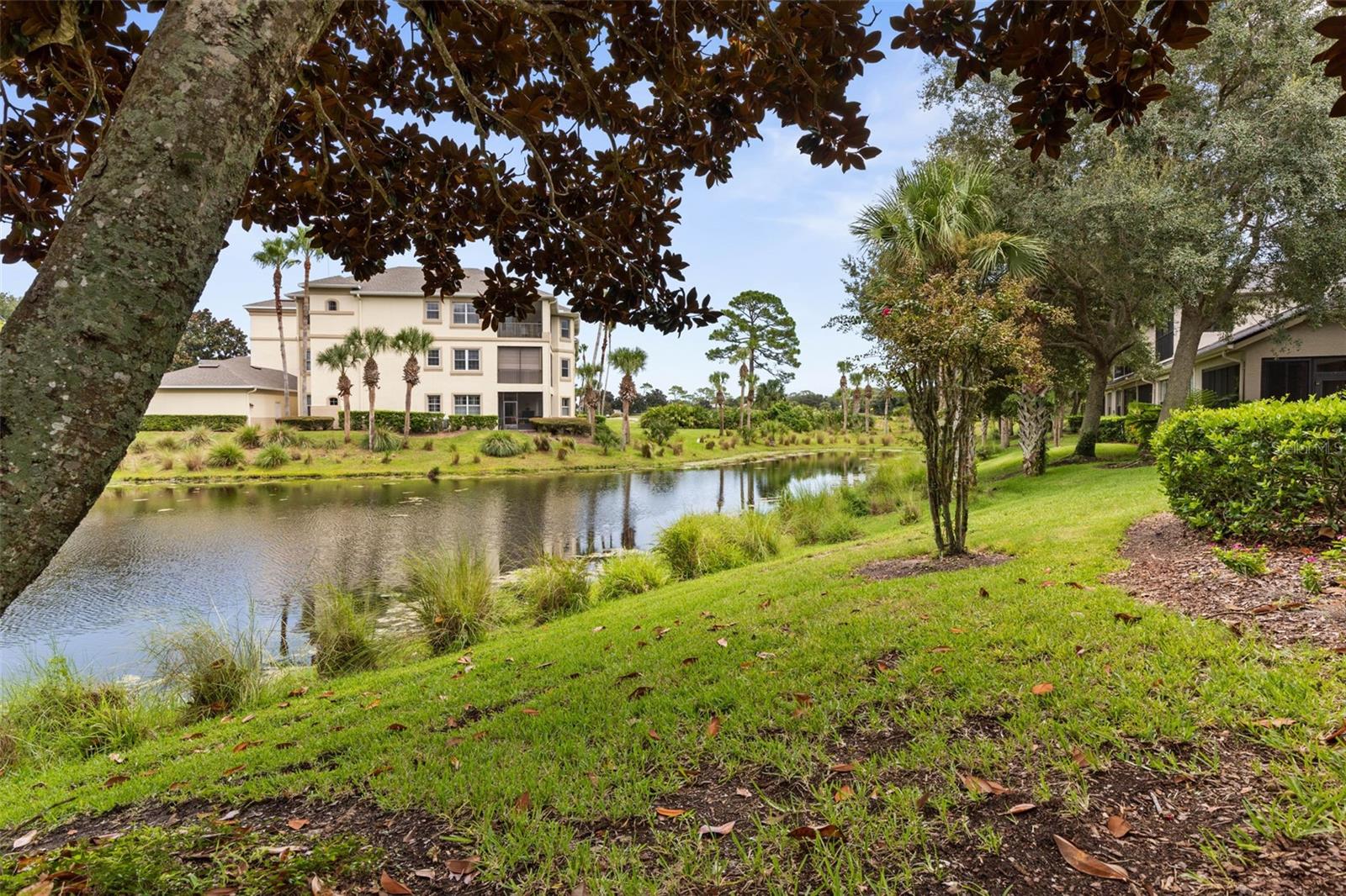 Waterfront View