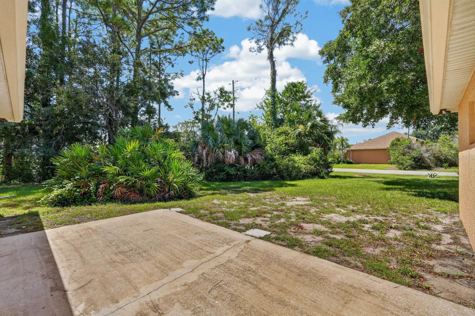 backyard