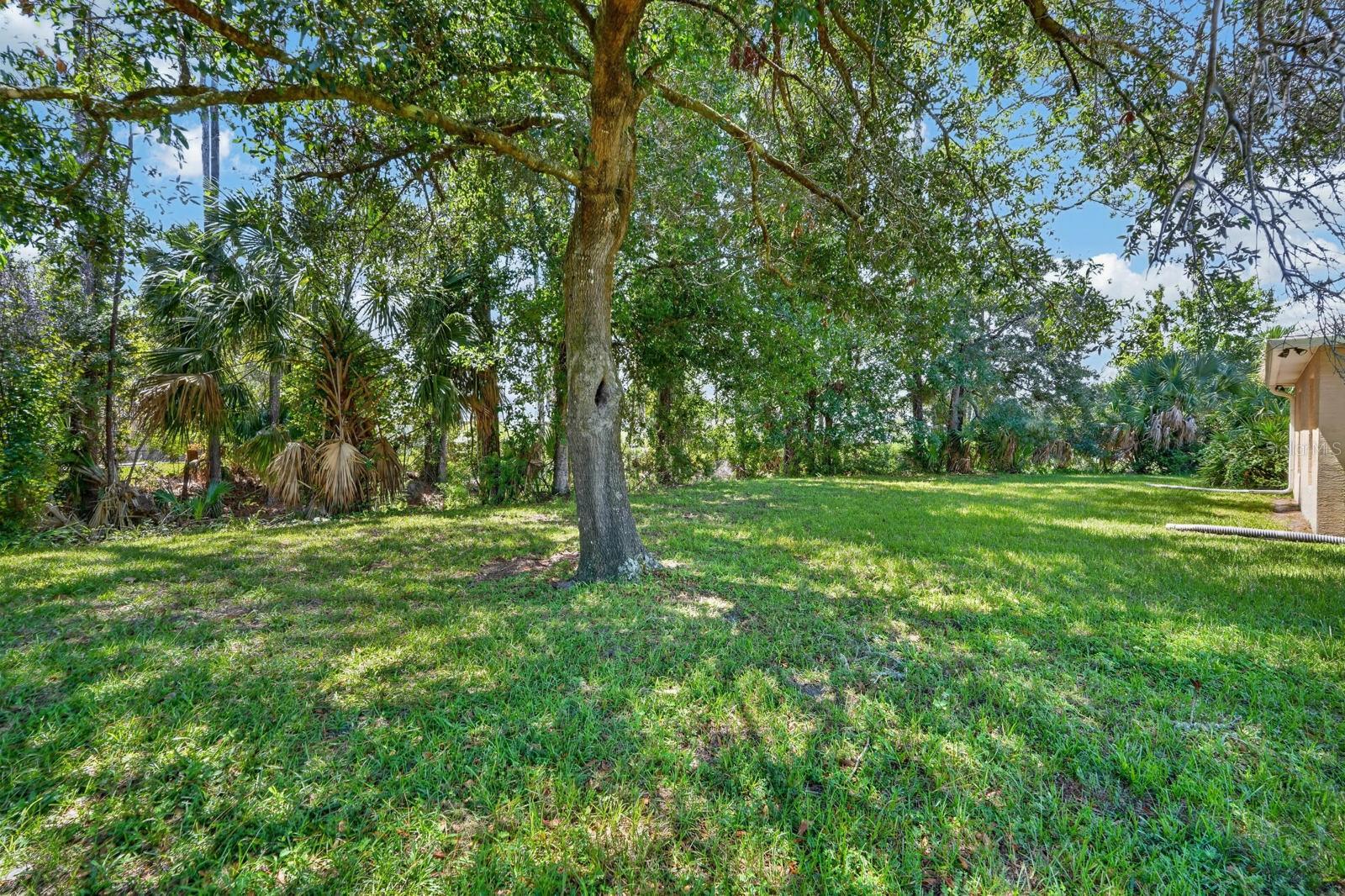 large lot