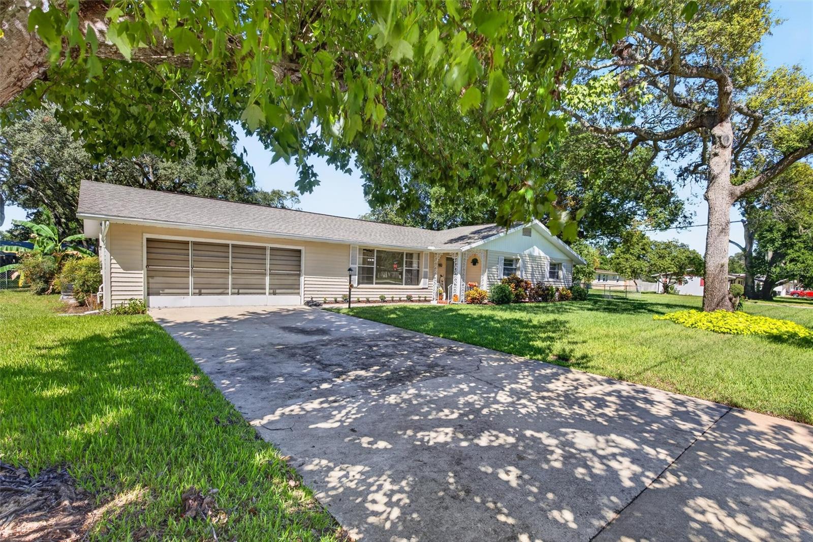 Front View Driveway