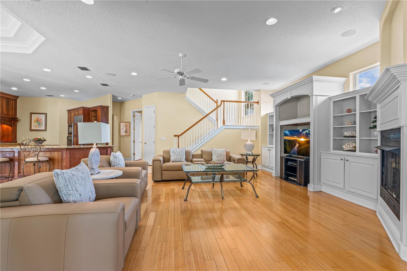 Family Room Additional View