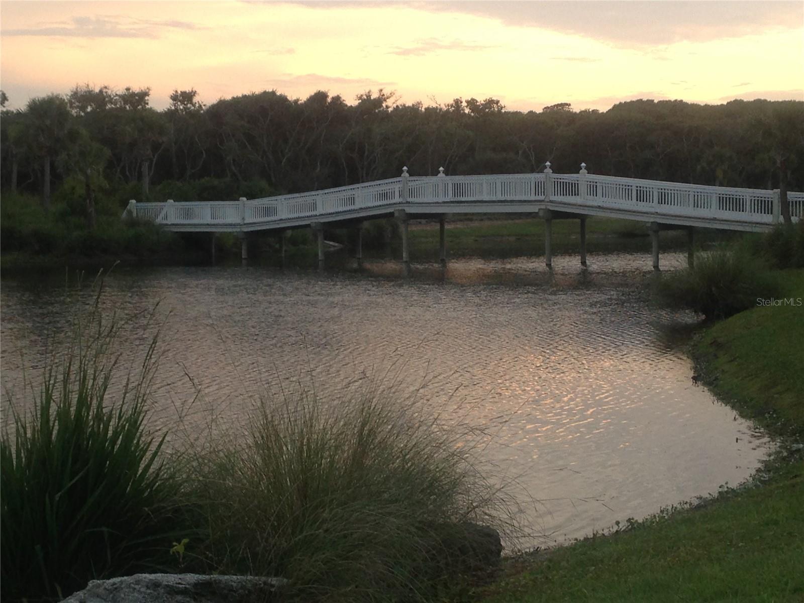 15 HIDDEN TREASURE DRIVE, Palm Coast, FL 32137