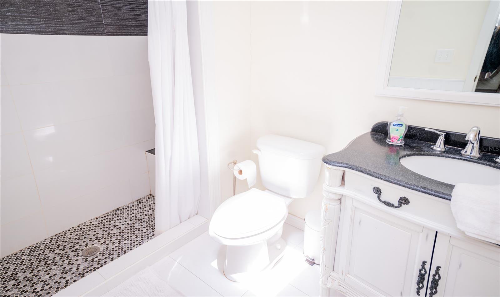 Primary bathroom featuring an ensuite layout and a skylight that fills the space with natural light.