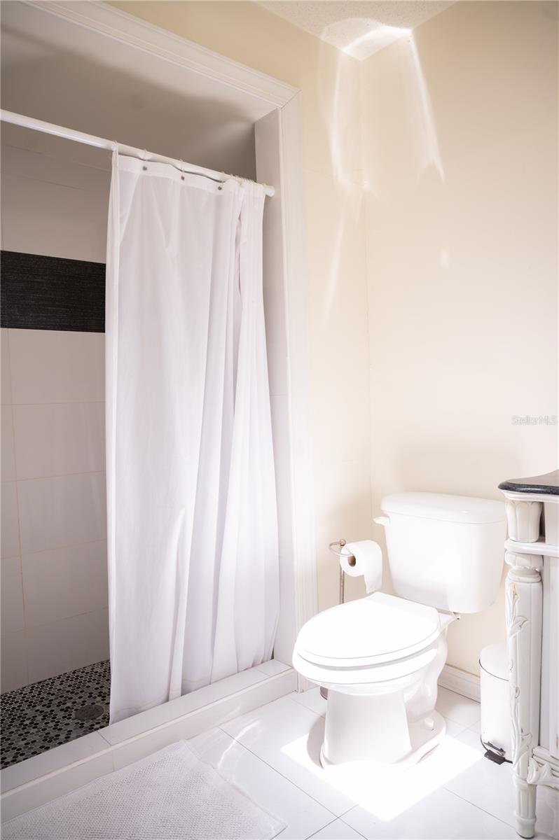 Ensuite primary bathroom featuring a spacious walk-in shower and private water closet.