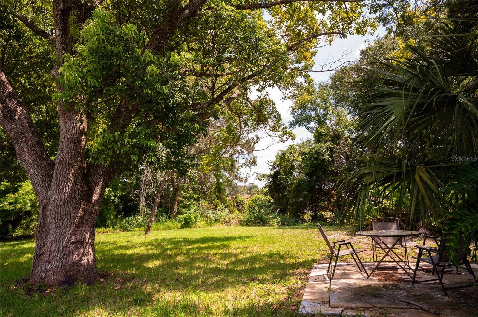 Beautifully situated on a lot surrounded by mature, established shade trees.