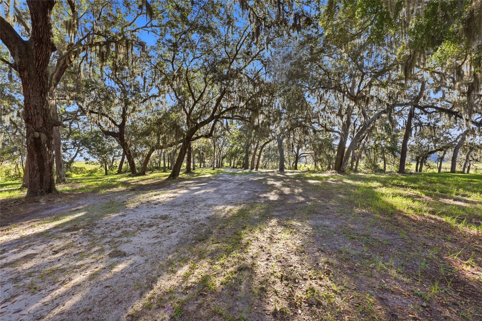 29023 GRANDVIEW MANOR, Yulee, FL 32097
