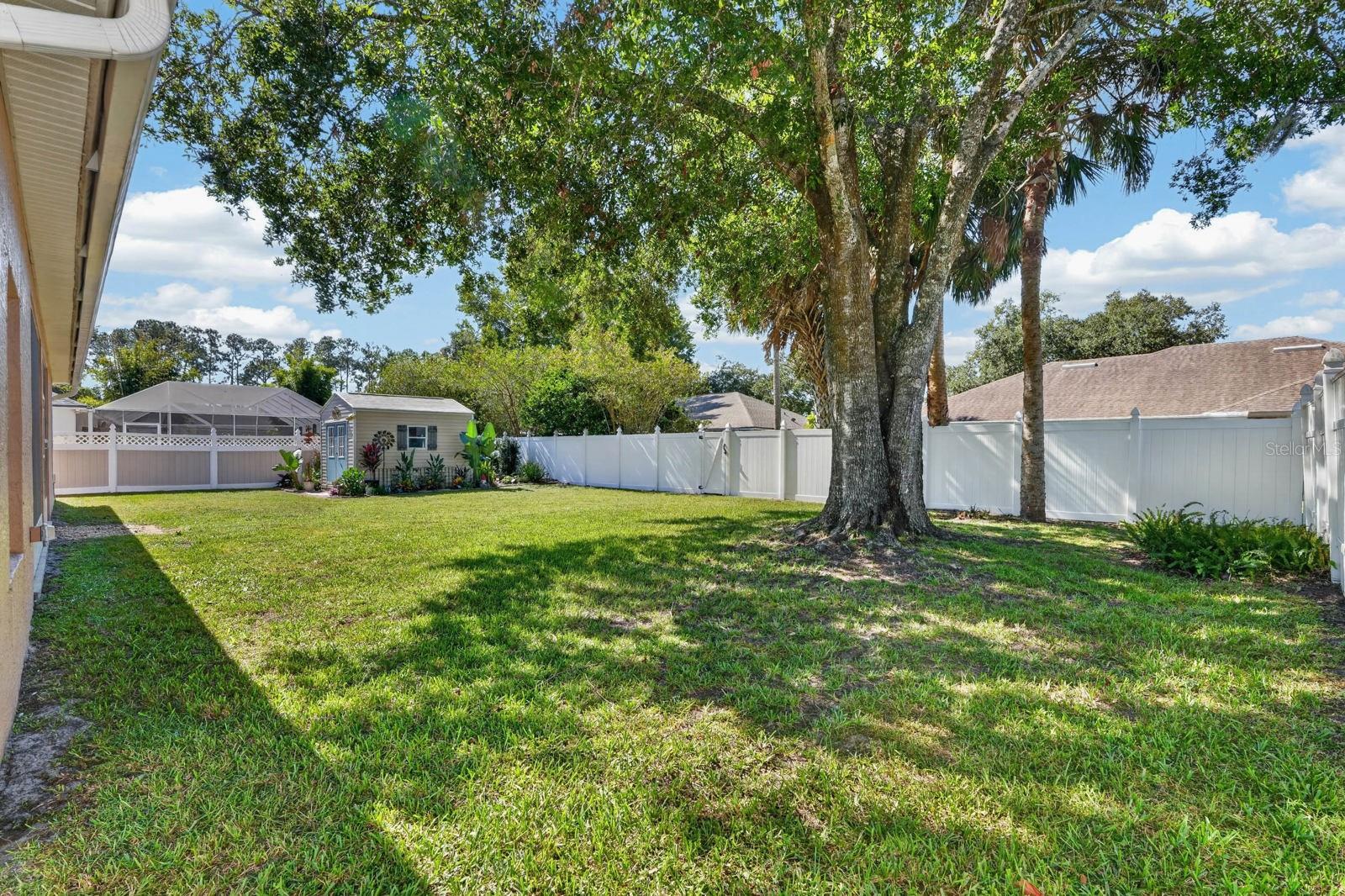 Large backyard with plenty of room for a pool