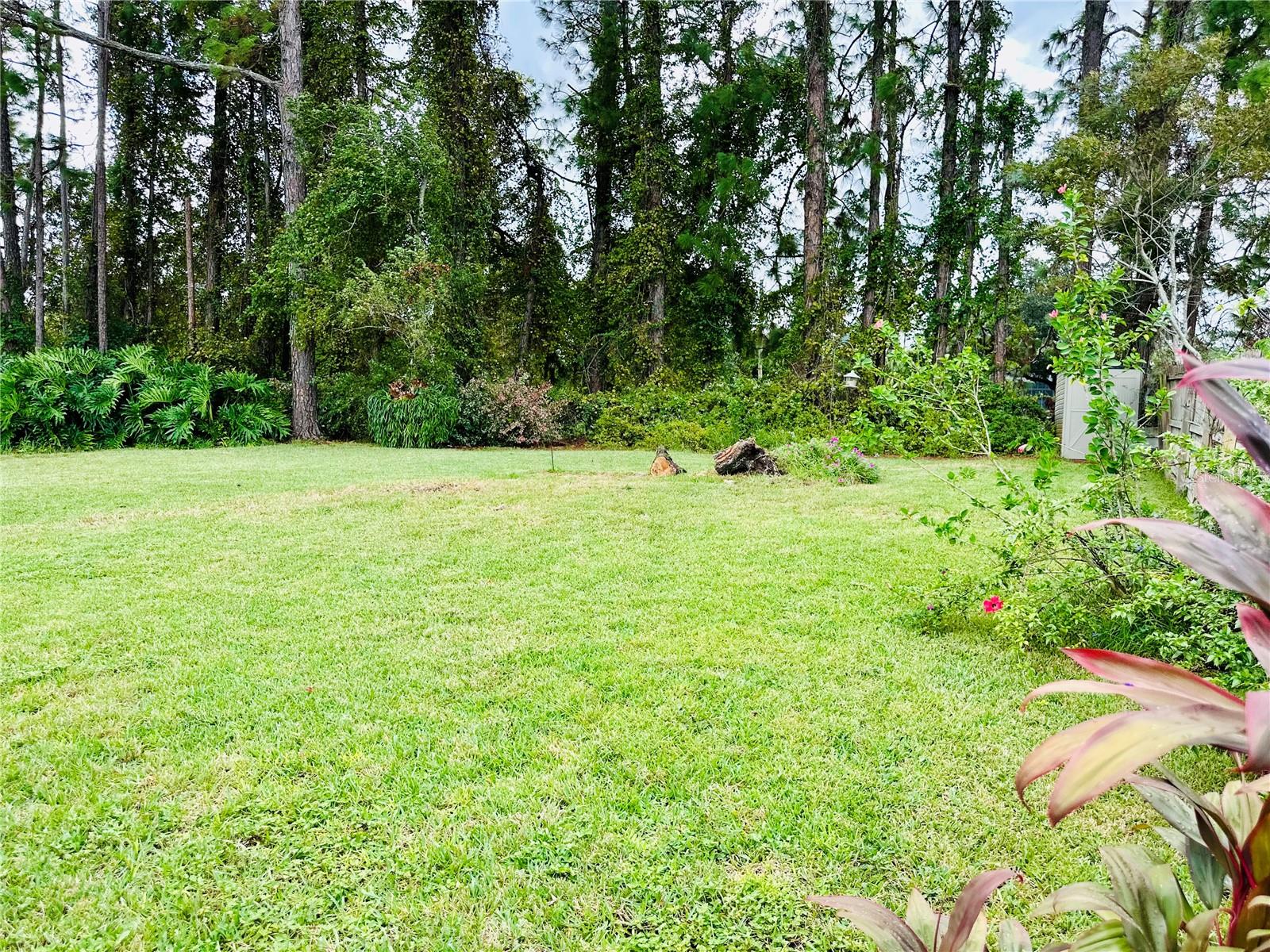 26 PRINCESS RUTH LANE, Palm Coast, FL 32164