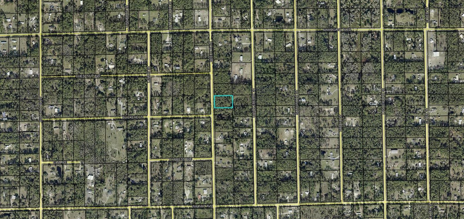 1689 BEECH BOULEVARD, Bunnell, FL 32110