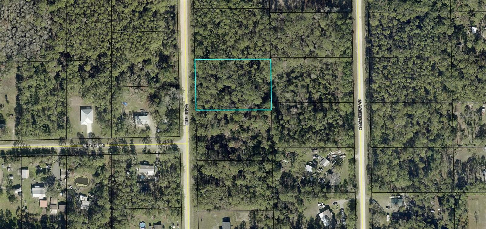 1689 BEECH BOULEVARD, Bunnell, FL 32110
