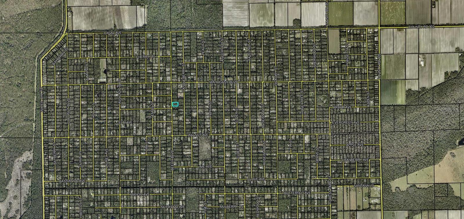 1689 BEECH BOULEVARD, Bunnell, FL 32110