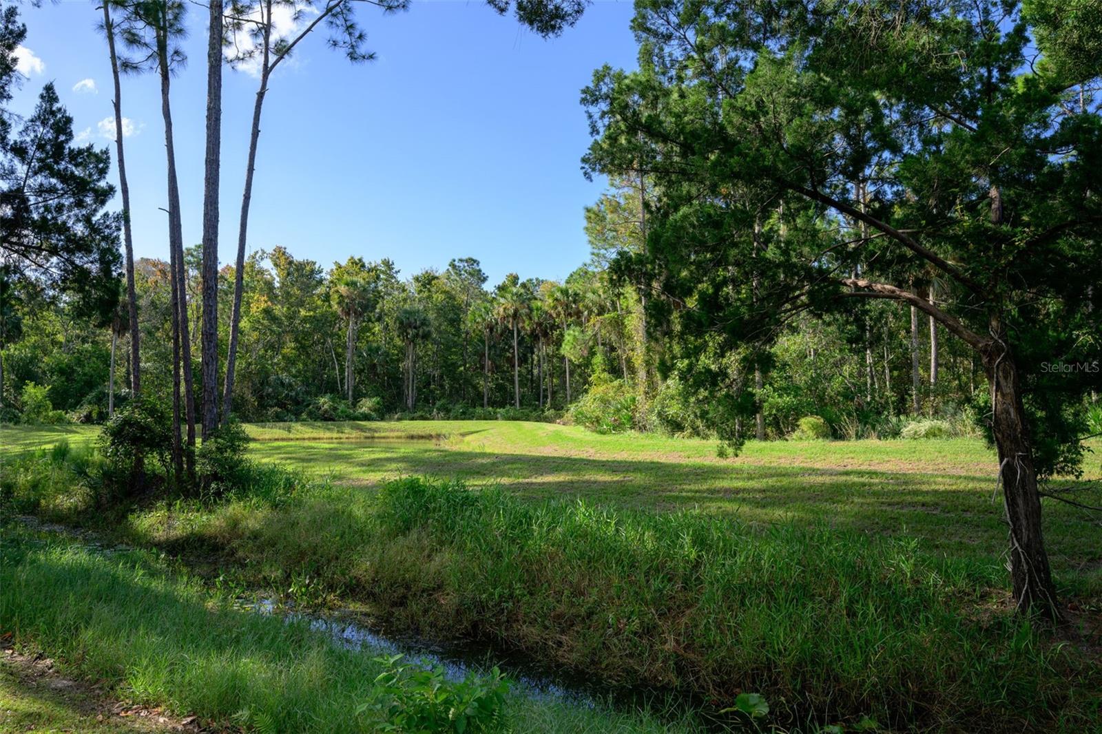 46 LLAMA TRAIL, Palm Coast, FL 32164