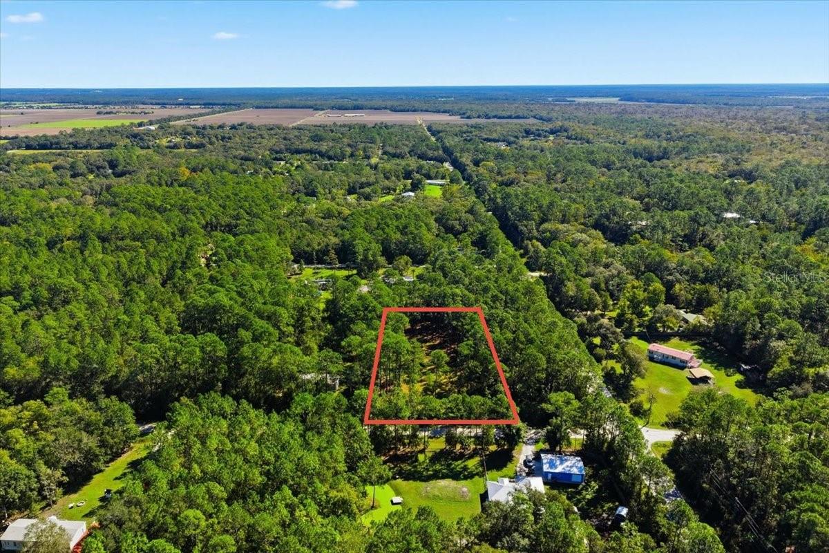 1451 HICKORY ST., Bunnell, FL 32110 1451 HICKORY ST., Bunnell, FL 32110