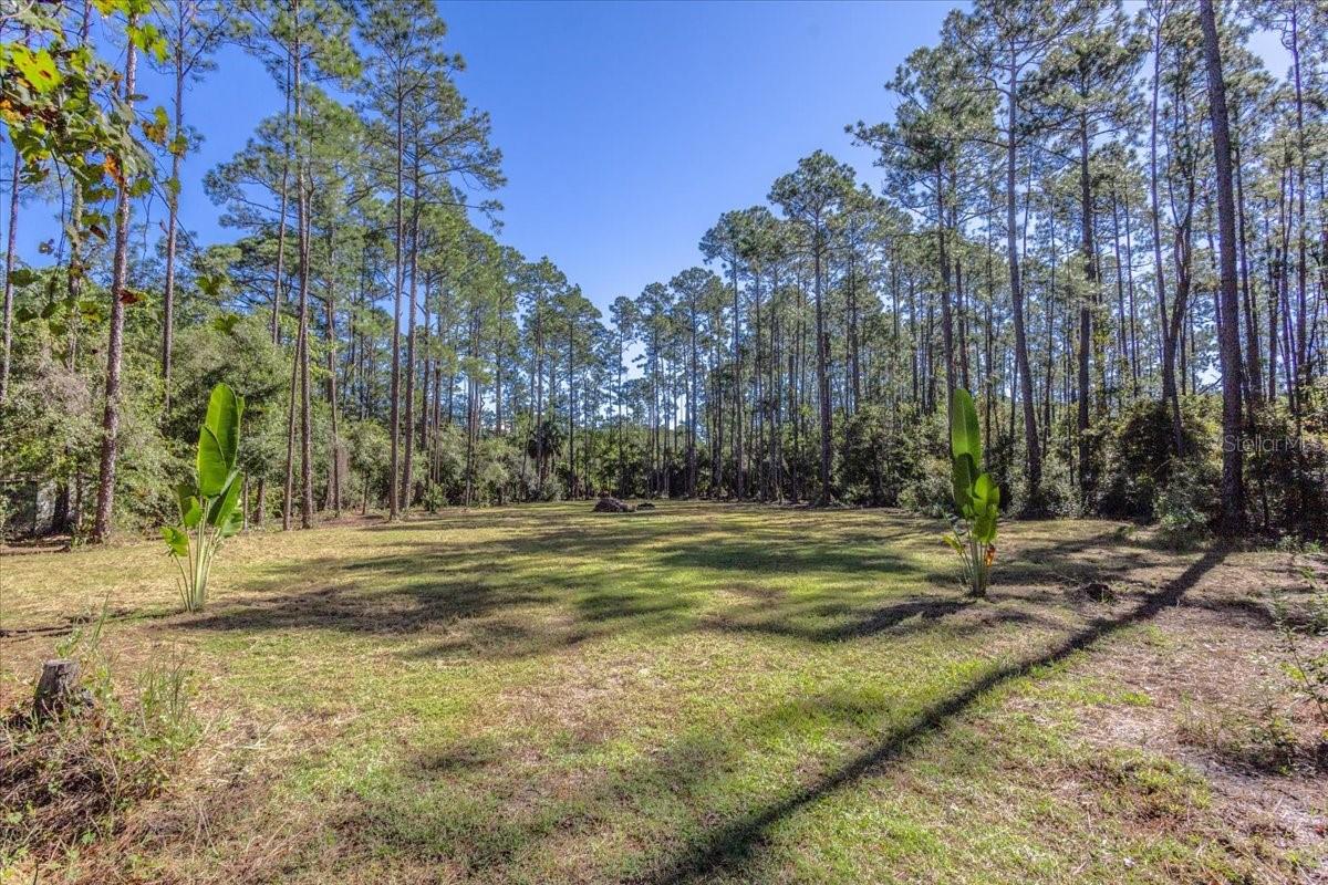 1451 HICKORY ST., Bunnell, FL 32110 1451 HICKORY ST., Bunnell, FL 32110