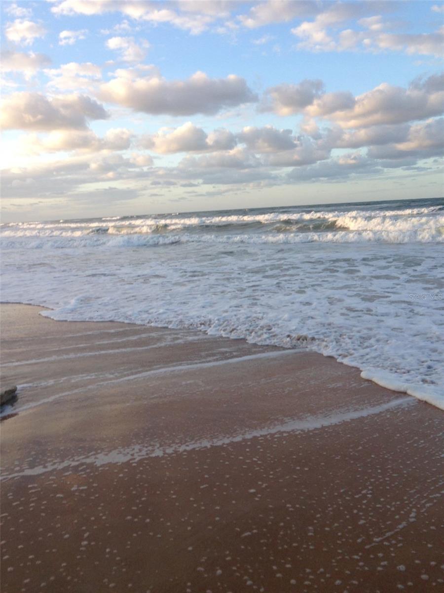Collect those treasure on the beach