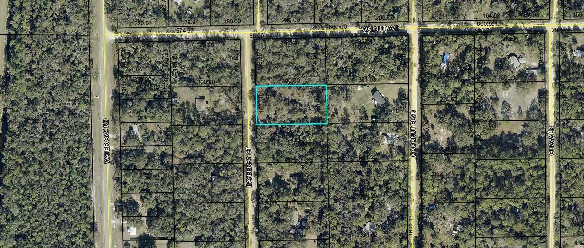 2075 BAYBERRY STREET, Bunnell, FL 32110