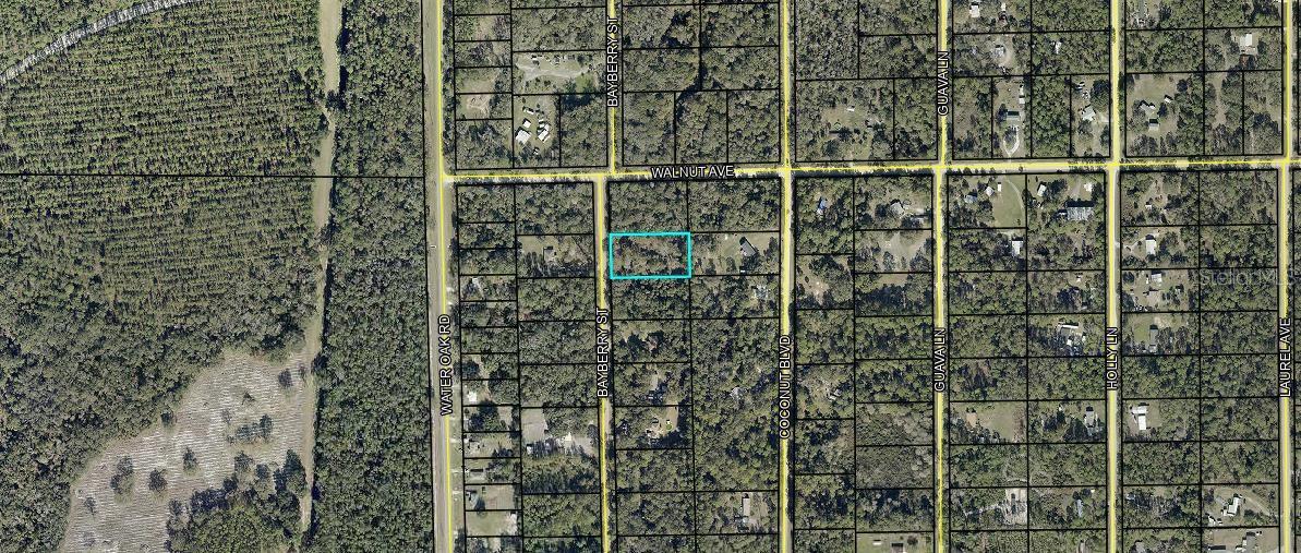 2075 BAYBERRY STREET, Bunnell, FL 32110