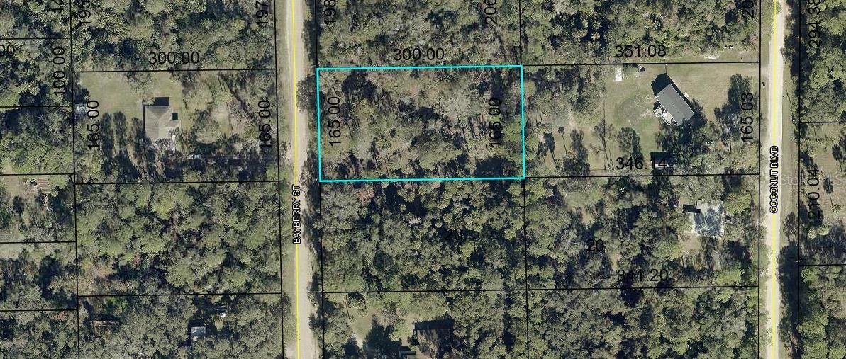2075 BAYBERRY STREET, Bunnell, FL 32110