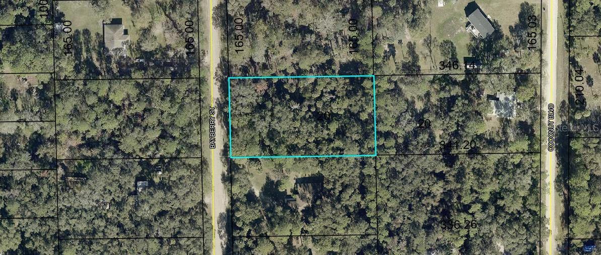 2107 BAYBERRY STREET, Bunnell, FL 32110