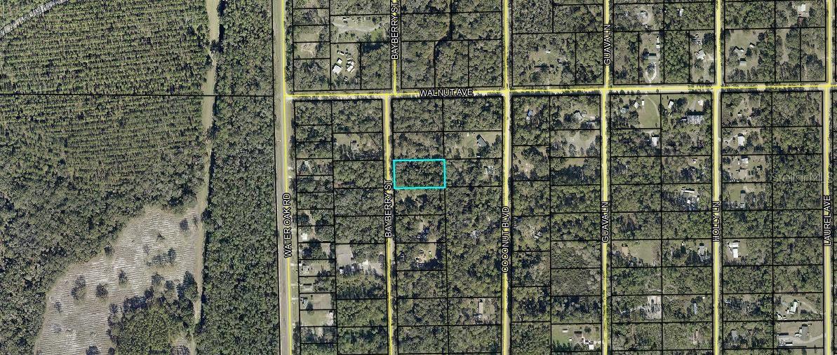 2107 BAYBERRY STREET, Bunnell, FL 32110