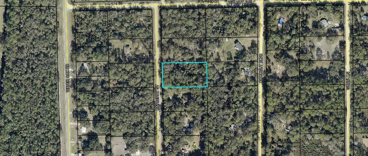 2107 BAYBERRY STREET, Bunnell, FL 32110
