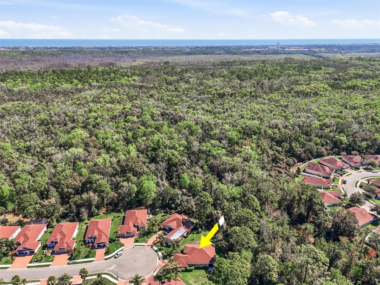 68 GRAHAM WOODS PLACE, Palm Coast, FL 32137