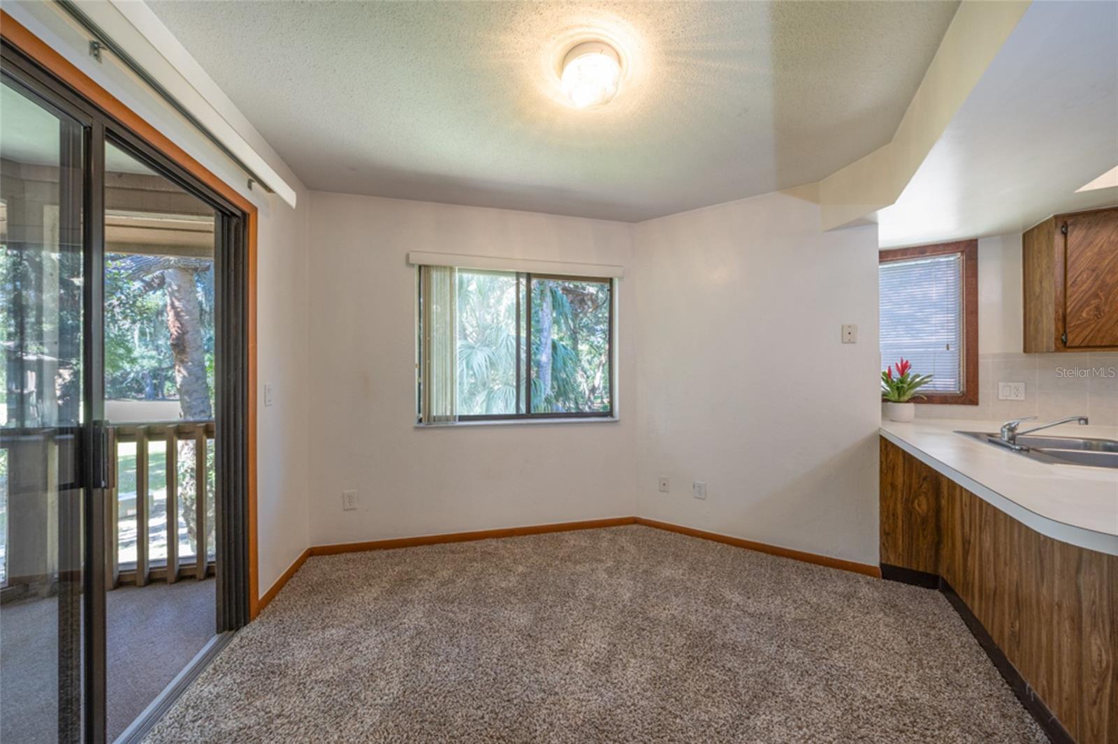 Sliders from kitchen to the screened porch.