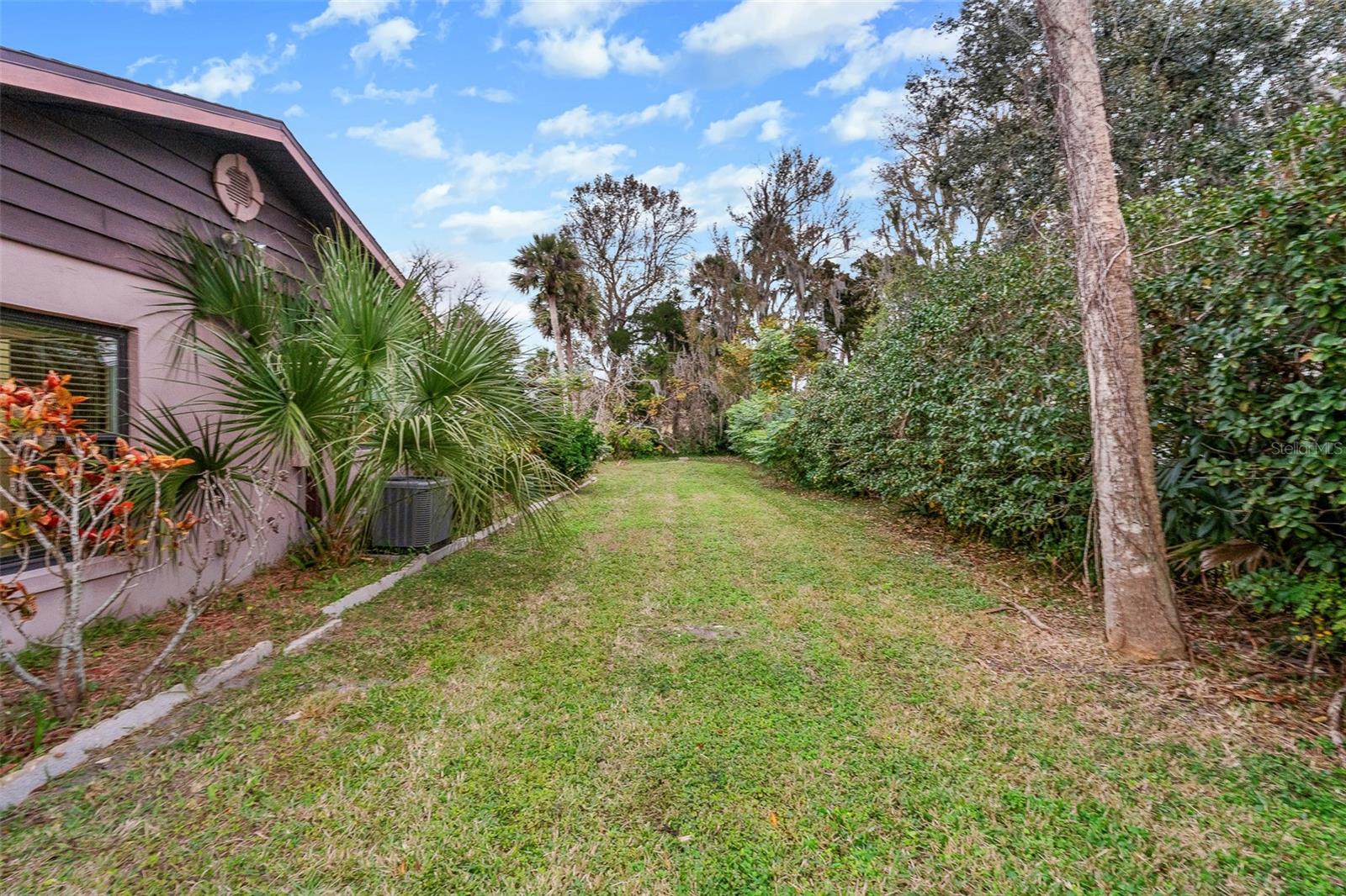 Large Backyard