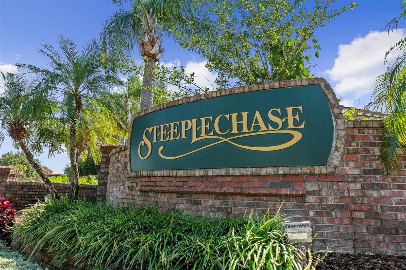 SteepleChase in Countryside